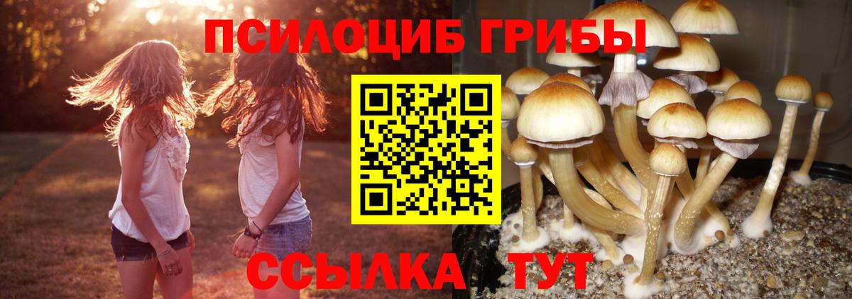 Псилоцибиновые грибы мицелий  Вход с VPN  Фурманов  Галлюциногенные грибы MAGIC MUSHROOMS 